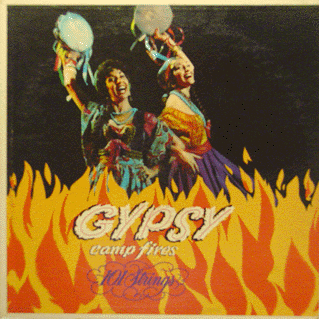 101 Strings - Gypsy Campfires